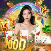 bet555