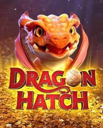 Q9bet .com