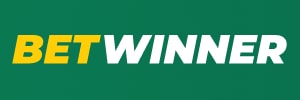 7133bet login