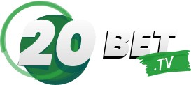 Dtbet - 565bet